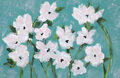 Image Not Available
